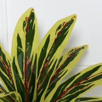 1PC Planta Artificial De Magnolia Evergreen Para Decoración De Mesas En Hogar Y Restaurantes Arreglo Floral De Vaso DIY - details 7