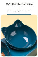 Tazas Para Gatos Con Alimentador De Agua 3 En 1 Diseño De Oreja Tazas Inclinadas Con Botella De Agua Para Protección De Cuello Set De Alimentos Y Agua - details 3