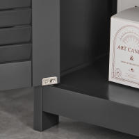 SoBuy Mueble para Debajo del Lavabo Armario de Baño de Suelo con 2 Estantes y 2 Puertas Gris Oscuro 60 x 35 x 58 cm FRG237-II-DG ES - details 3