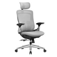 Silla de oficina ergonómica en malla ajustable, respaldo basculante, asiento móvil, base de estrella de aluminio, soporta hasta 150 kg, disponible en gris paloma o negro tinta - details 0