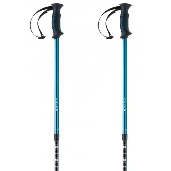 Material senderismo Bastones Ferrino Bastones Gta Plateado Unisex - 1