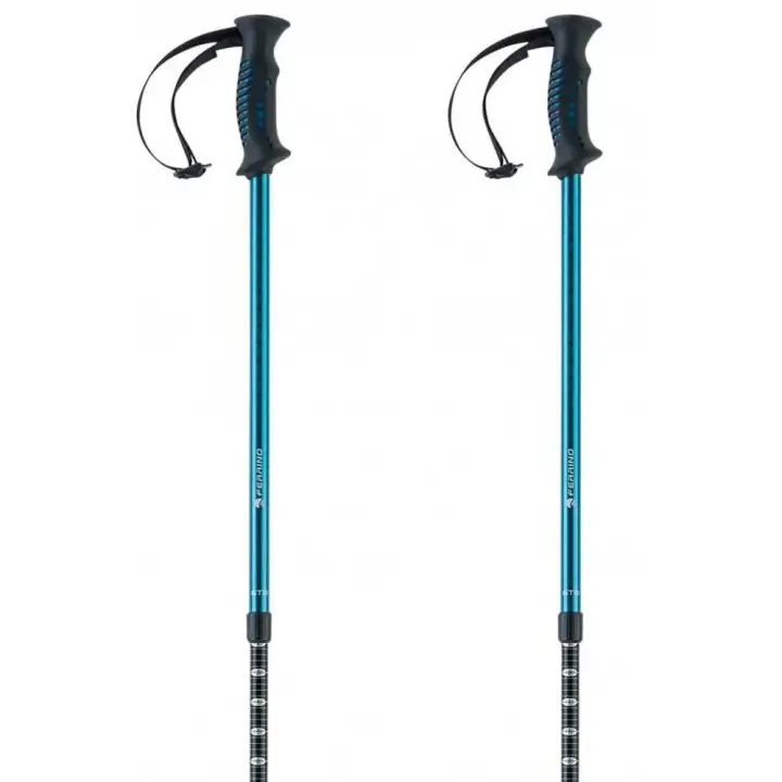 Material senderismo Bastones Ferrino Bastones Gta Plateado Unisex - 1