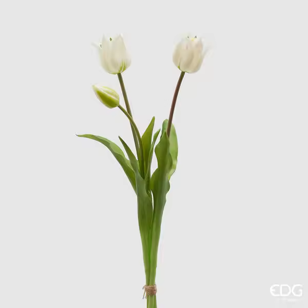 EDG Enzo De Gasperi Goma Tulip Olis 3 ramas H 48 Cm Blanco 1 Cf - 1
