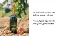 Cava Parxet Brut Nature - DO Cava - Caja 6 botellas 75cl - details 4