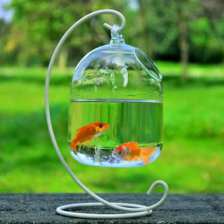 Acuario De Vidrio Transparente Con Soporte Para Decoración De Hogar Forma Redonda/Rectangular Vaso De Peces Con Soporte De Colgante - 1