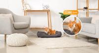 Imou 2MP Cámara Vigilancia WiFi Interior para Mascotas,360° Cámara IP WiFi con Detección de Humano, Visión Nocturna, Audio Bidireccional, Control Remoto, Modo Privacidad,Compatible con Alexa - details 3