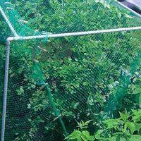 Malla De Protección Contra Pájaros Verde Para Jardín Cosechas De Frutas Verduras Flores Arbolado Pecuario Mejor Valla - details 3