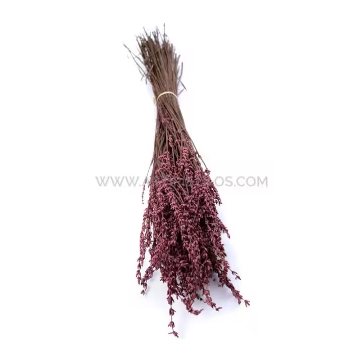 Ramo de Lavanda Preservada Premium con Fragancia Excelente para Decoración Natural de Flores - 1