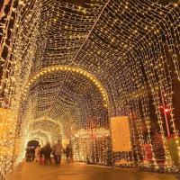 Luz De Cadena LED 10M Para Navidad Impermeable 100 LEDs Decoración De Árbol Y Fiesta Navideña Luz Faeira Para Interior Y Exterior - details 9