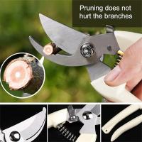 Tijeras De Podar Para Jardín Profesionales Herramientas Manuales De Ortofruta Tijeras De Bonsái Para Jardinado Acero Inoxidable Curvadas - details 5