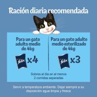 COMIDA GATOS FELIX FANTASTIC FESTIN DE MAR PACK 24X85g Y CARNE PACK 24X85g - details 0