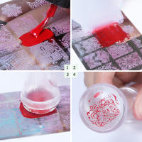 Set De 4 Piezas De Arte De Uñas Con Placas De Estampado De Pétalos Y Encaje Herramientas De Lámina De Imagen Y Brocha De Uñas Material De Acero Inoxidable - details 5