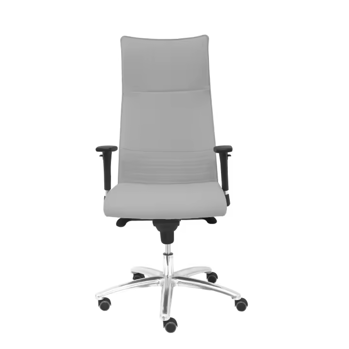 Sillón de Dirección Ergonómico Regulable en Altura Piqueras Y Crespo - 1