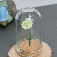 Cubierta Protectora De Vidrio Para Miniatura De Rosa 1PC Escala Modelo Miniatura Ornamentos Simulación Decoración Para El Hogar Y Artesanías - details 7