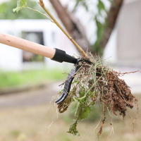 Herramienta De Jardín Para Remover Malas Hierbas Y Raíces Reemplazo De Cabeza De Arrastre Herramienta De Excavación Y Riego Para Jardín - details 10