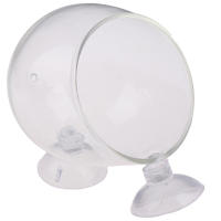 Vaso De Cristal Mini Para Acuario JETTING Planta Acuática Cultivo Cilindro Pot De Agua Ideal Para Pequeños Acuarios - details 6