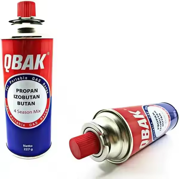Cocina portátil DUAL, funciona con cartucho de gas o botella de gas externa , para Casa , Camping y Viajes . - 1