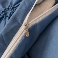 Set De Edredón 3 Piezas Con Cierre De Cremallera Y Amarras En Esquinas Microfibra Suave Con Pliegues Pinch Detección De Alta Calidad - details 71