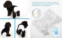 SMELL & SMILE Pañales Desechables para Perro Pañales para Perros Hembra Pañal Sanitarios para Perro Mascotas Bragas Higiénicas Suaves absorbentes (L) - details 4
