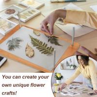 Kit De Prensa De Flores Para Manualidades Y Encuadernación DIY 1Set Prenda Grande De 11.6 X 7.87 Pulgadas En Madera - details 5