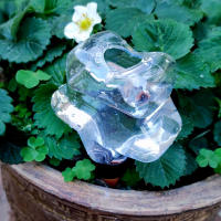 Dispositivo De Riego Automático Para Flores Pico De Riego De Inmersión Para Jardín Y Plantas Interiores Herramienta De Riego De Jardín - details 4