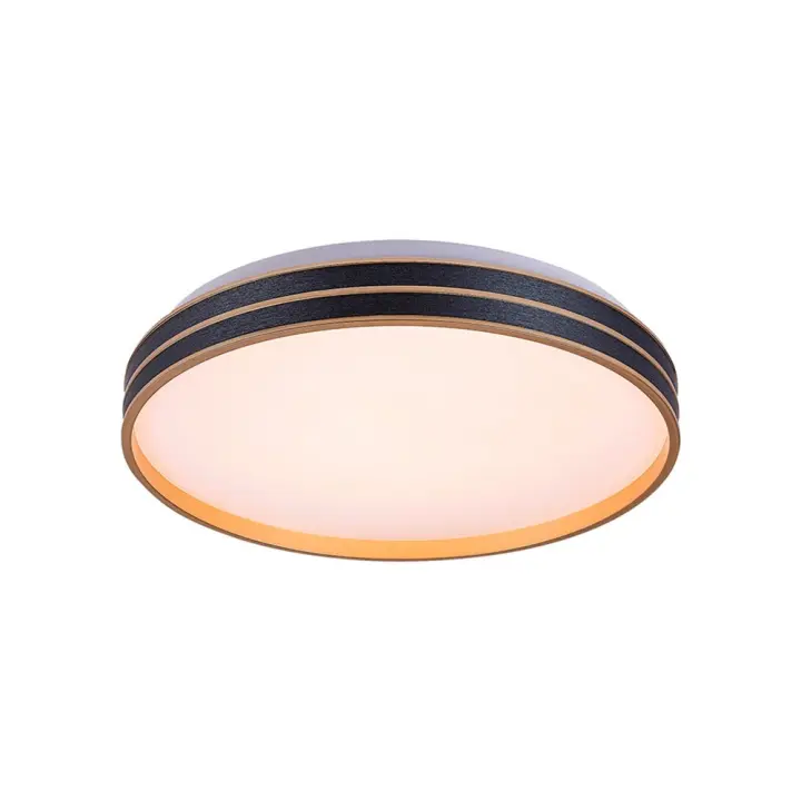 Plafón LED Regulable 24W Negro/Dorado 3000-6500K + Mando a Distancia IP20 GANDOR 3000K RABALUX - 1