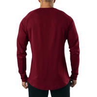 Camiseta De Manga Larga Para Hombre Estilo Hip Hop Casual Fitness Musculado Cuello V Ajustada Algodón Sport Gym - details 12