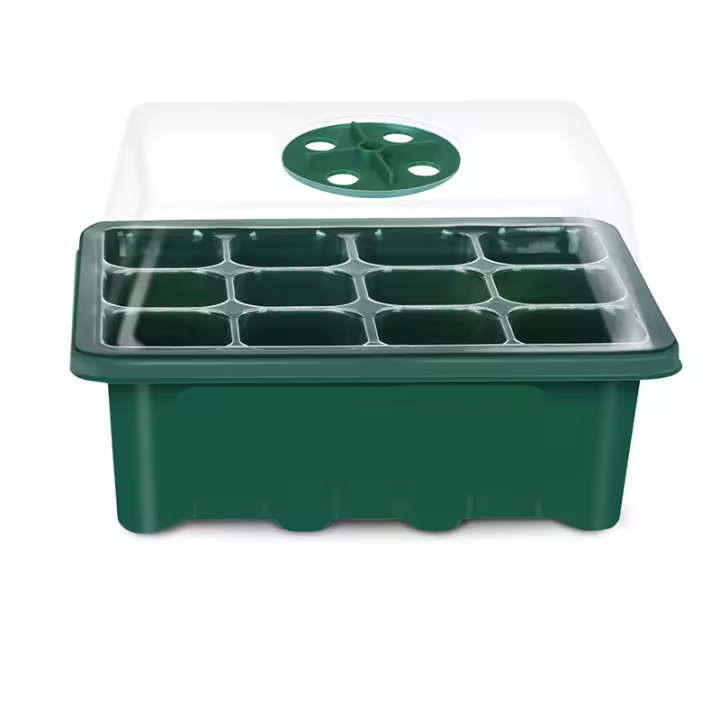 Mini bandeja para plantas de invernadero, 10 unidades, para Cultivo de Plantas, Caja de Cultivo para Vivero de Interior with Tapa, Green - 1