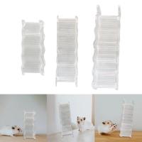 Juguete De Escalada Para Hamsters Ladder Transparente Y Resistente Accesorios De Jaula Para Pequeños Animales Gerbils Rattus Y Ratones - details 2