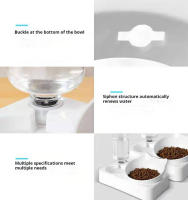Tazas Para Gatos Y Perros Doble Alimentador De Agua Y Alimentos Inclina 15 Grados Tazas Elevadas Con Botella Automática Para Mascotas - details 8