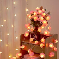 Luces De Flecos De Rosa LED Rosa Para Bodas Fiestas Cumpleaños Festivales Decoración Interior Exterior Valentin's Day - details 2