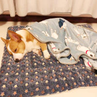 Alfombra De Mascota De Felpa Gruesa Y Suave Para Invierno Cama De Gato Y Perro Caliente Cojín De Algodón HuggleHounds - details 2