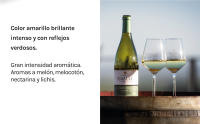 Raimat Chardonnay Ecológico - Caja 6 botellas 75cl - details 3