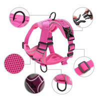 Set De Correa Y Arnés Reflectante Para Perros Y Gatos De Malla Y Nylon Para Pequeños Y Medianos Perros Bulldog Pug - details 9