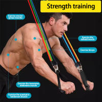 Set De Bandas De Resistencia Con Anclaje Para Puerta Manijas Y Bolsa De Transporte Ejercicios De Gimnasio En Casa Para Muslos Pecho Brazos Y Cintura - details 3