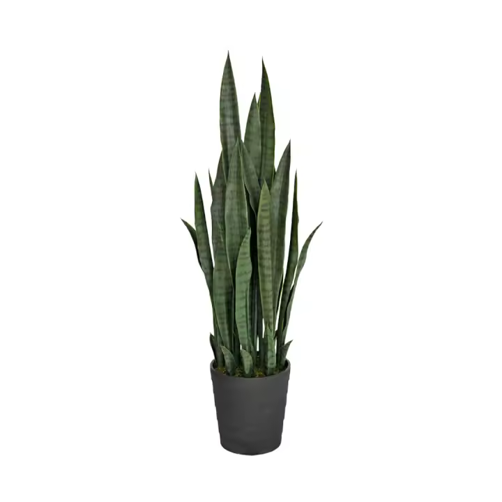 Nortene | Planta Artificial Lengua De Tigre 105 Cm Nortene | Ideal Para Decoración | Planta Artificial Grande Y Realista | Aporta Un Toque Natural A Tu Hogar - 1