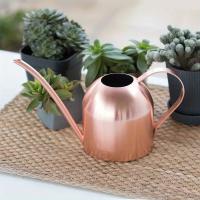 Maceta De Riego De Acero Inoxidable Con Boquilla Larga Accesorios De Jardín Para Plantas Sandía De Cobre Pulido Metal - details 4