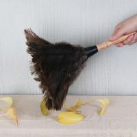 Plumero con mango de madera, plumero, antiestático, polvo, plumero, cepillo de piel para el hogar, Herramientas de limpieza - details 3