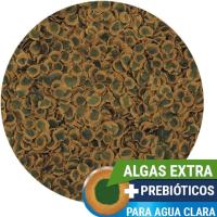 Tetra Pro Algae Multi-Crisps - Alimento completo con un valor nutritivo óptimo, concentrado de algas adicional favorece la resistencia de los peces, 250 ml - details 2