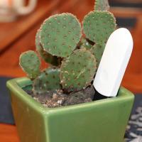 Testero De Humedad Del Suelo Inteligente 1-10PCS Medidor De Humedad Para Jardín Floristería Plantas Y Césped Herramienta De Jardinado Conveniente Monitor De Suelo VAKIND - details 6