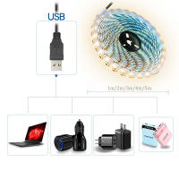 Tiras LED 5V USB Para Iluminación Trasera De Televisores Decorativas En Calor Blanco Azul Rojo Morado Para Navidad Juego Habitación - details 1