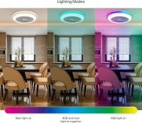 DUPI Ventilador de Techo LED RGB SLIM  – Motor DC Silencioso, 6 Velocidades, Luz Regulable, Mando y Aspas Reversibles Ø55cm - details 2