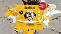 Collar Perro Grande 65 cm - details 0