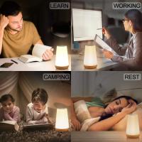 Lámpara Nocturna Recargable RGB De 13 Colores Con Control Remoto Y Toque USB Luz De Noche Portátil Para Mesa Y Cama Dimmable - details 5