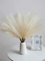10pcs De Pampas Artificiales 55cm/21.65 Pulgadas Altas Rejas De Terciopelo Falso Grama Para Relleno De Vaso De Piso Decoración De Hogar - details 9