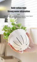 Maceta Automática De Riego Por Absorción Doble Capa Transparente Plástico Para Suculentas Maceta Decorativa Para Plantas De Escritorio - details 3