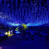 Juego De Luces De Navidad LED De 4M Guirnalda De Icicles Para Exterior Decoración De Jardín Y Calle Lámparas De Faiy Light Droop Tamaño 0.4-0.6m Calor Blanco/Morado/Multicolor/Azul - details 0