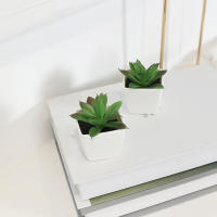 1PC Mini Suculentas Artificiales En Maceta Para Decoración De Escritorio Y Estante De Libros Oficina Planta De Silicona Para Exposición - details 1