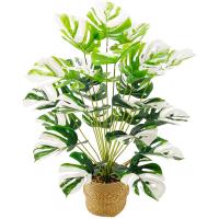 Bonsái Simulado De Hoja Grande Ornamento De Maceta Planta Artificial Hyphosis Para Decoración De Oficina Y Hogar Estilo Tortuga - details 4