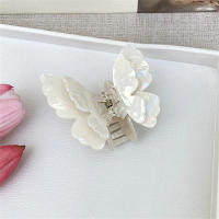 Pinza De Mariposa Dual Gradiente Para Mujer Accesorio De Cabello Coreano Dulce Y Elegante Pinza De Mordaza De Cocodrilo Para Niñas - details 10